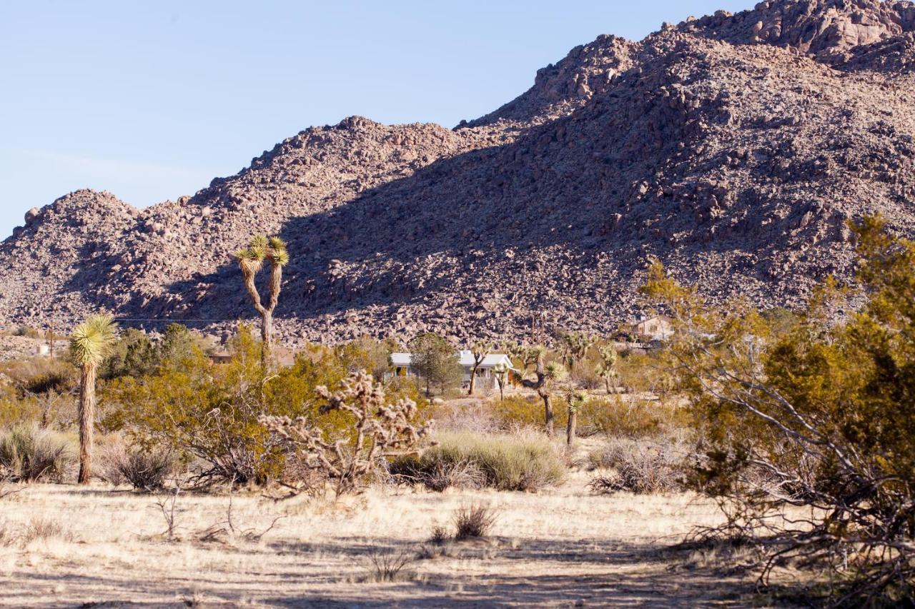 @ Marbella Lane - 10 Acres Oasis Desert Retreat! Джошуа-Три Экстерьер фото